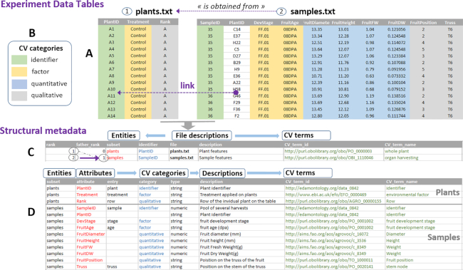 Figure 1: