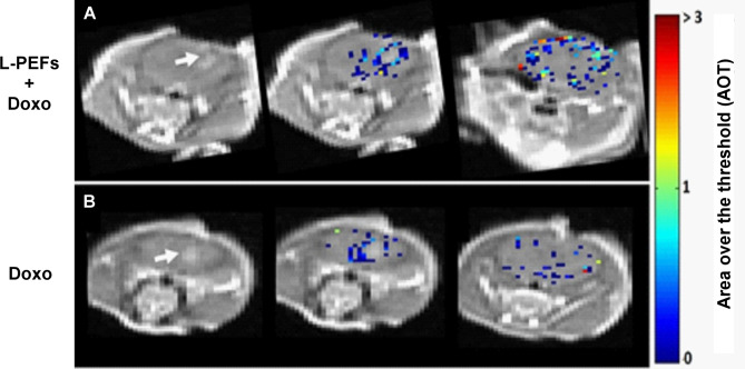 Fig. 6