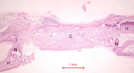 Fig. (5)