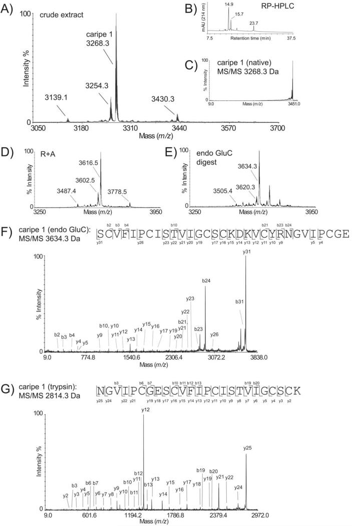 FIGURE 2