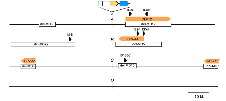 Figure 3—figure supplement 1.