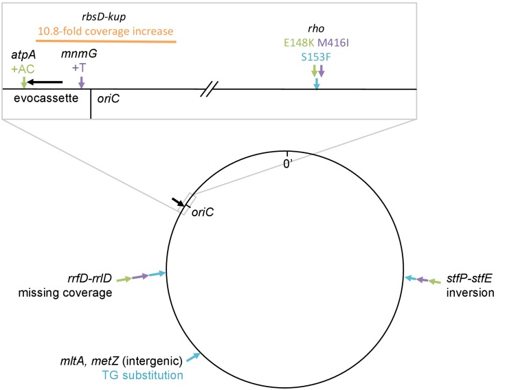 Figure 3—figure supplement 4.