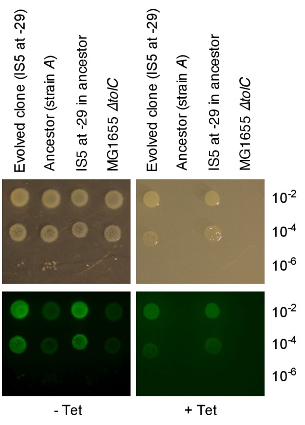 Figure 3—figure supplement 3.