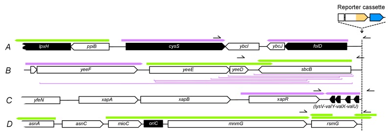 Figure 4—figure supplement 1.