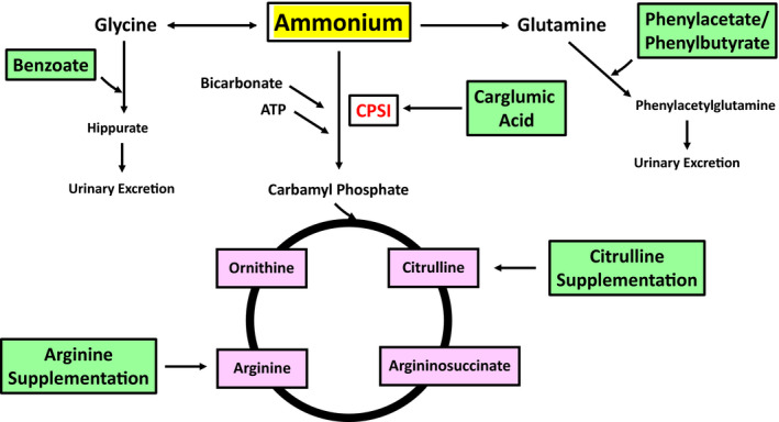 FIG 3