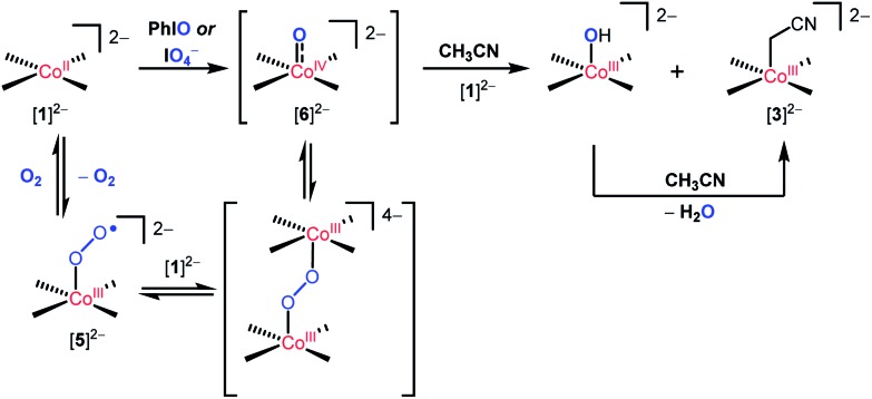 Scheme 2