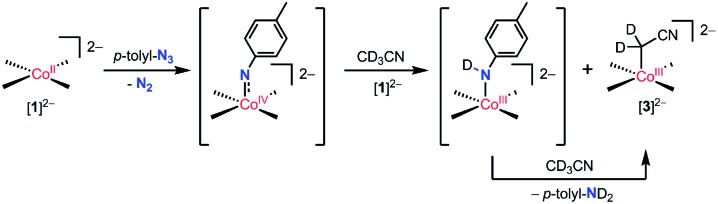 Scheme 3