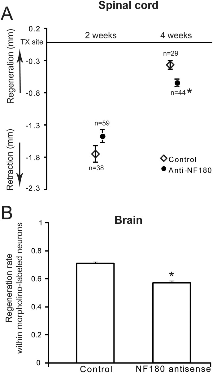 Fig 7