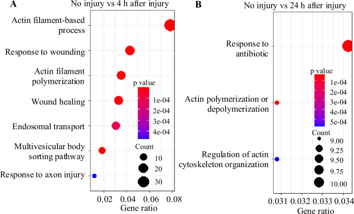 Figure 3—figure supplement 2.