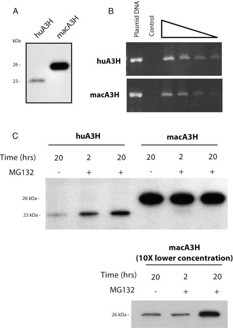 FIG. 4.