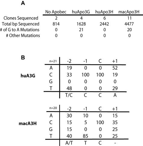 FIG. 6.