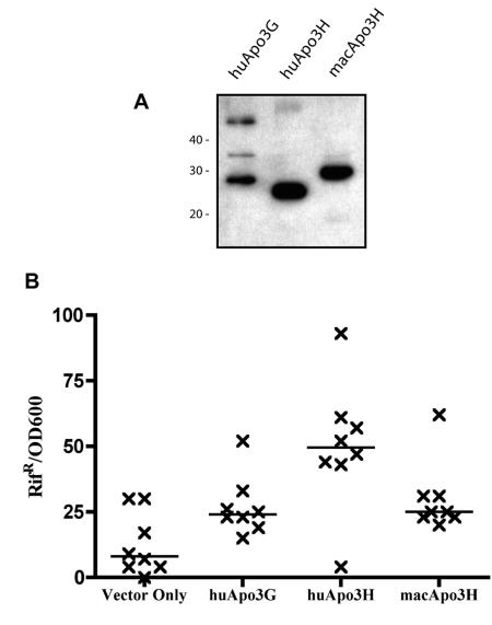 FIG. 5.