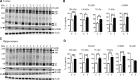 Figure 1.