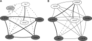 Figure 7.