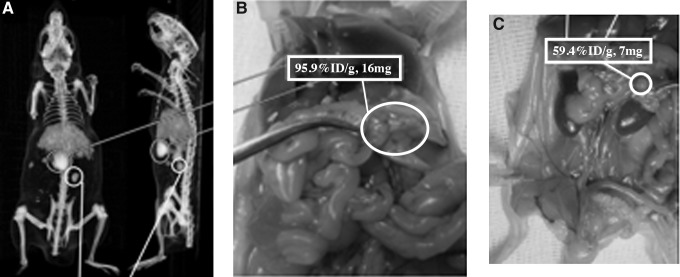 FIG. 4.