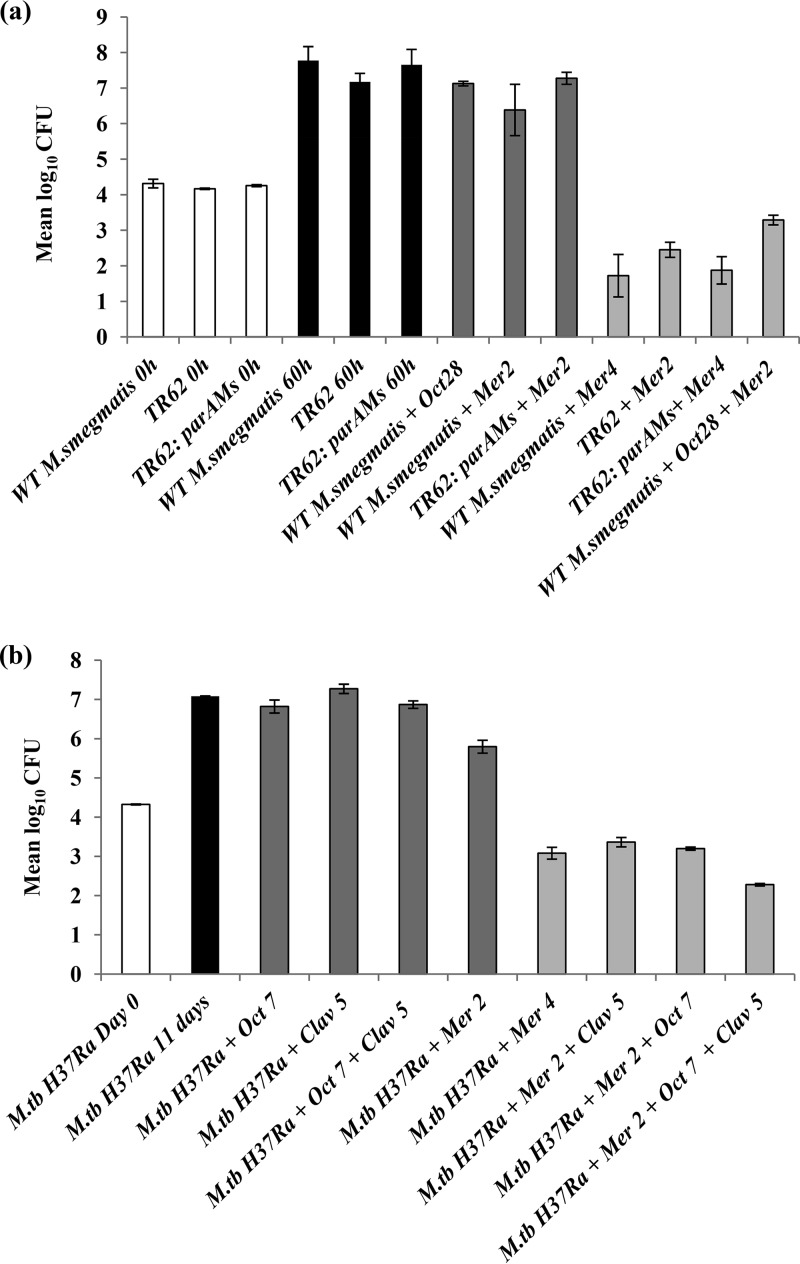 FIG 1