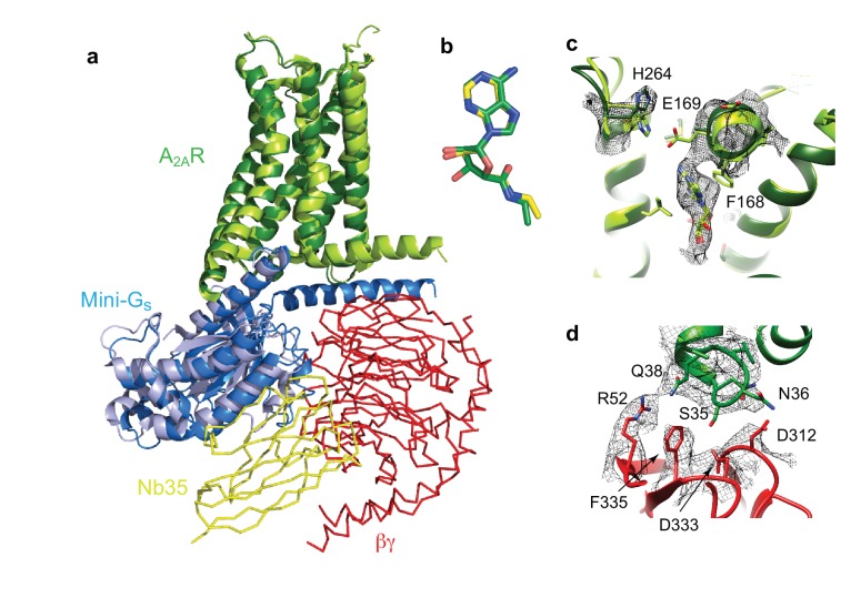 Figure 6.