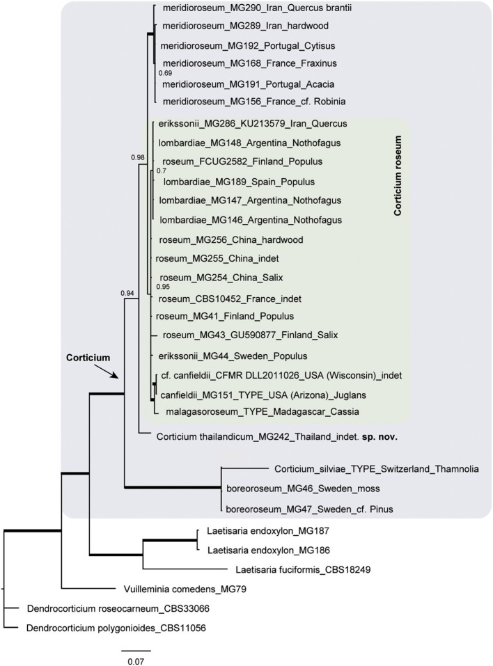 Figure 5