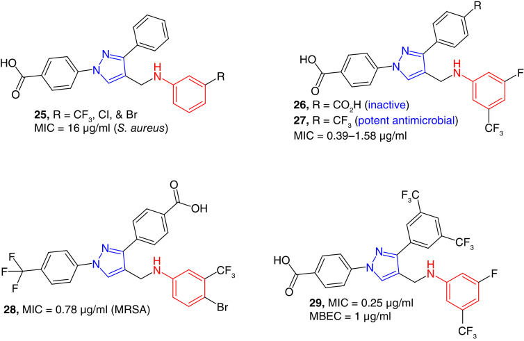 Figure 5. 