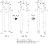 Fig. 3.
