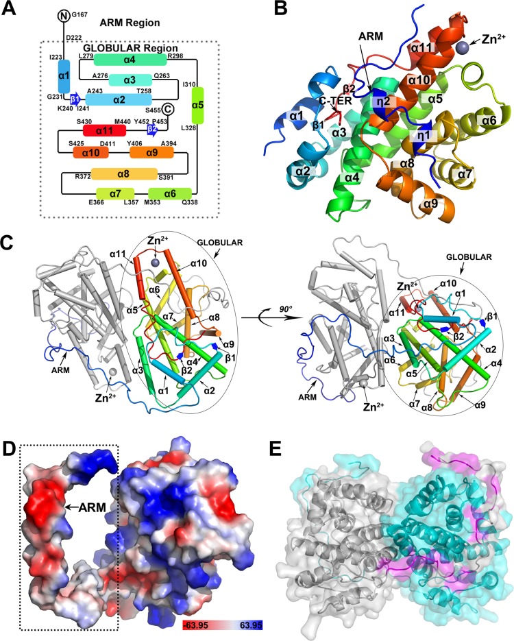 Fig 1