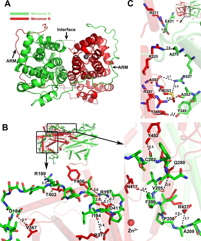 Fig 3