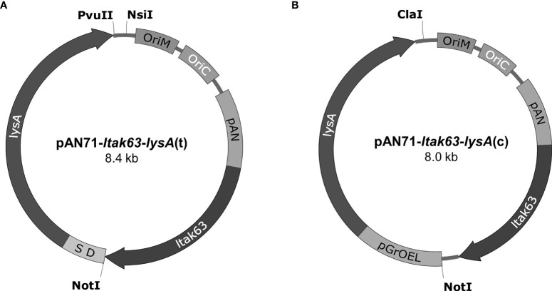 Figure 2