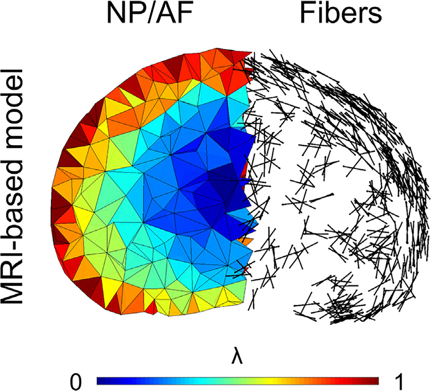 Fig. 3.