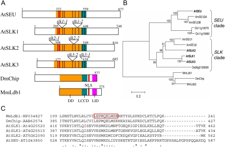 Figure 1.