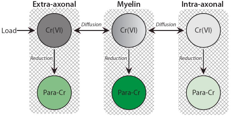 Fig. 8