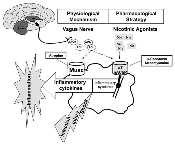 Fig. (4)