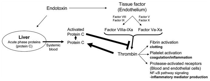 Fig. (1)