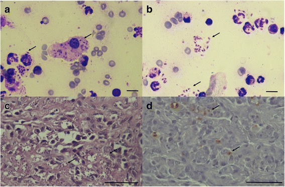 Fig. 2