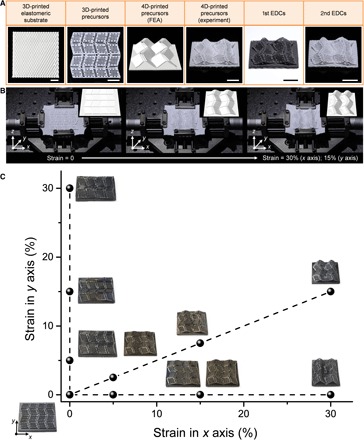 Fig. 4
