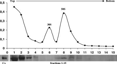 FIG. 6.