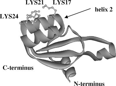 FIG. 7.