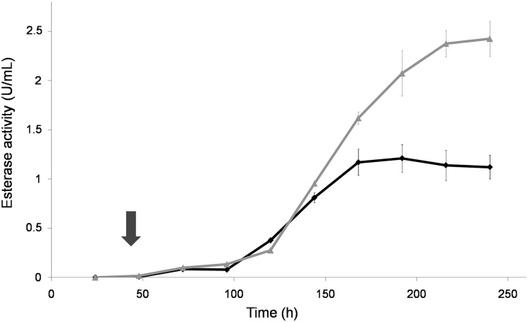 FIG 2