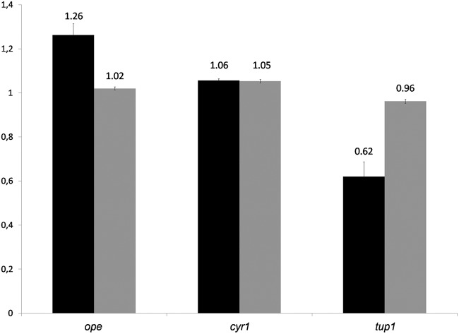 FIG 6