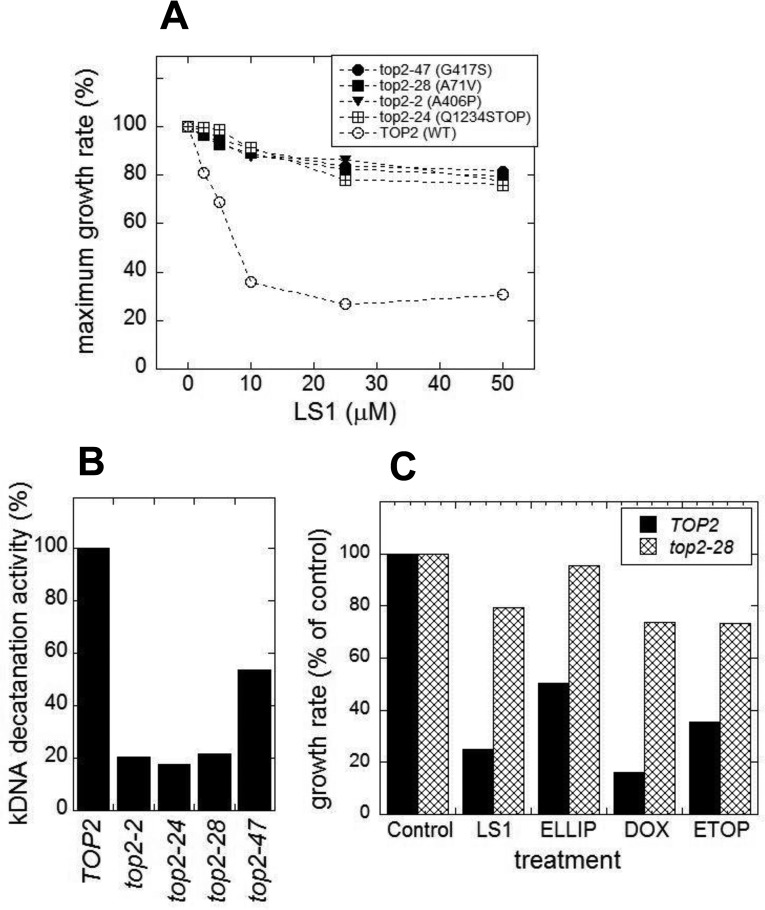 Figure 10