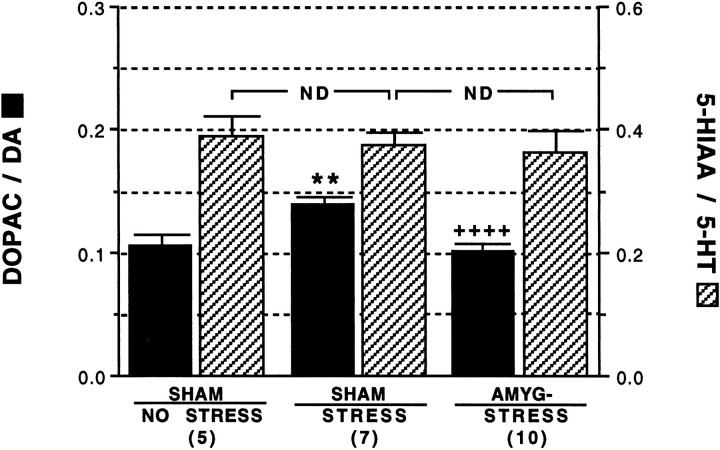 Fig. 8.