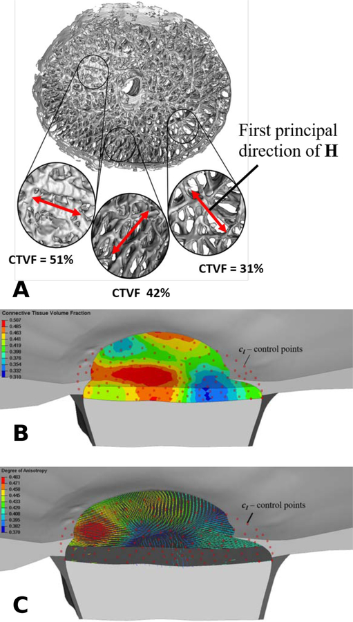 Figure 4: