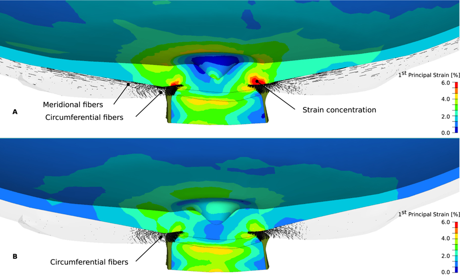 Figure 10: