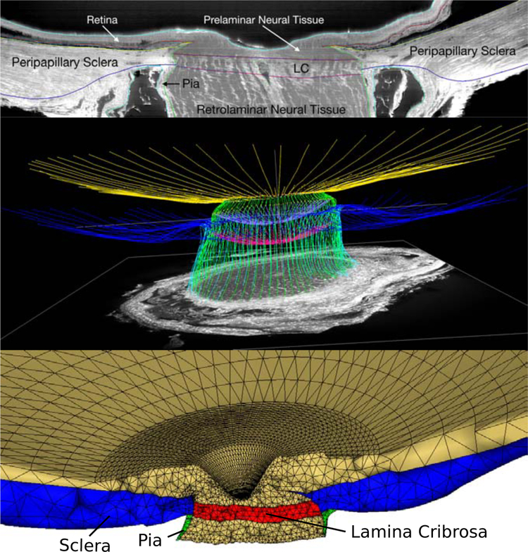 Figure 3: