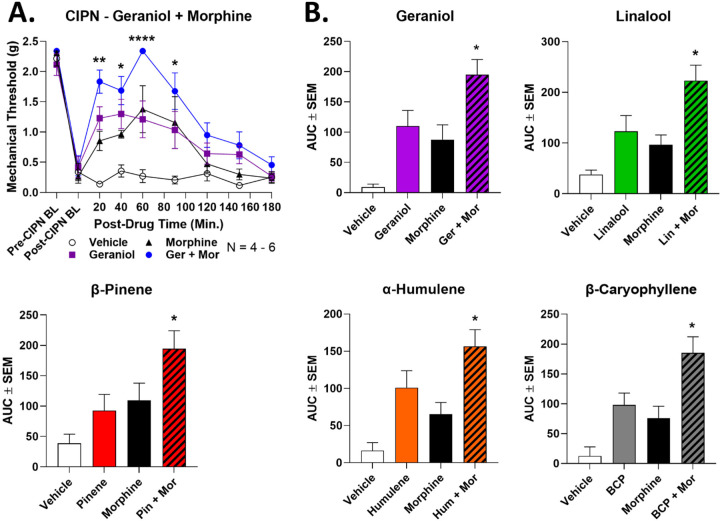 Figure 4: