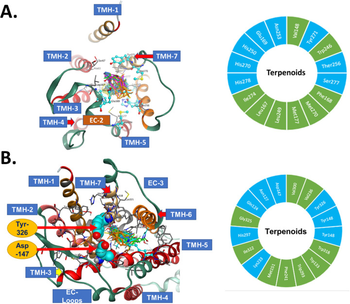 Figure 11: