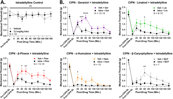 Figure 6: