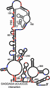 FIGURE 9.