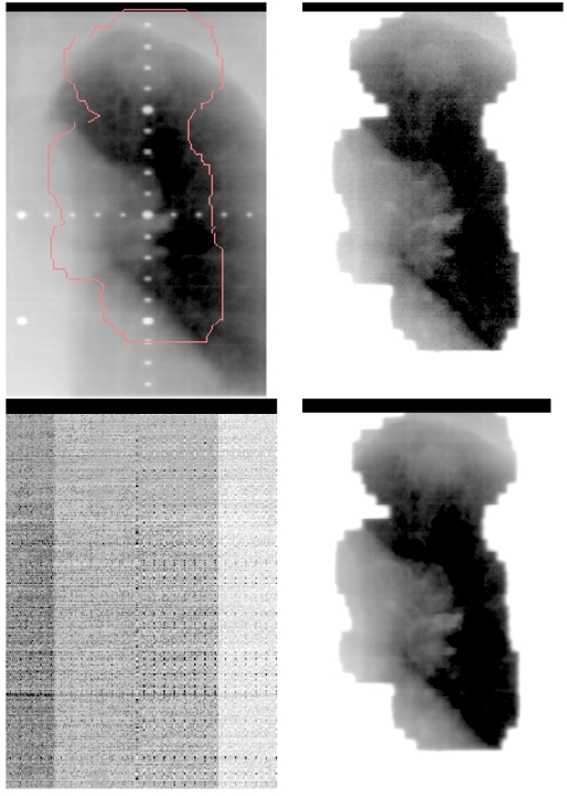 Figure 7