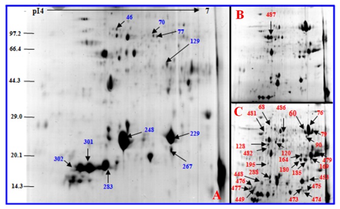 Figure 10