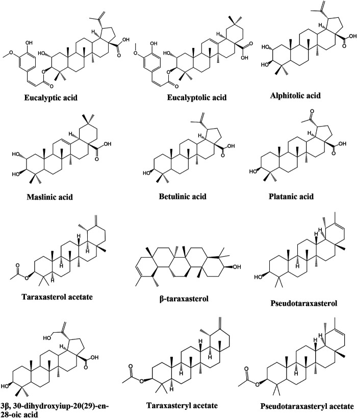 FIGURE 2